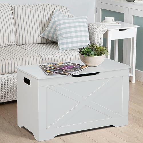 31.5" Storage Chest, Wooden Storage Bench, Entryway Shoes Bench