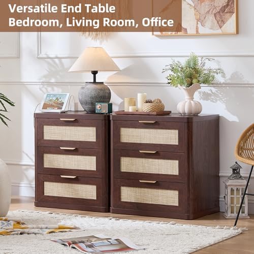 LEYAOYAO Rattan 23" Nightstands with Charger for Bedroom