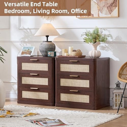 LEYAOYAO Rattan 23" Nightstands with Charger for Bedroom