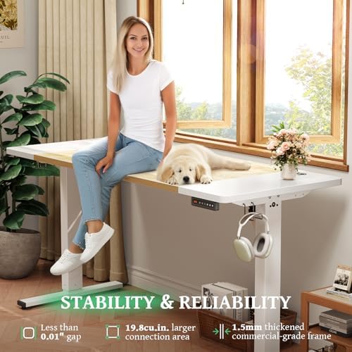 SIAGO 48 x 24 Inch Electric Standing Desk, 0.8 Inch Thick Tabletop