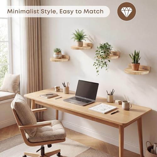 Round Small Floating Shelf,Small Wall Shelves,Mini Speaker Shelf Wood