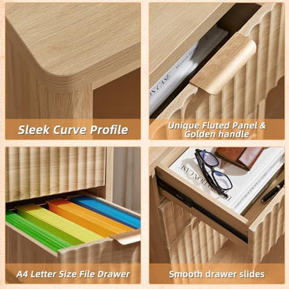LEYAOYAO Office Desk 48" With 3 Drawers Storage File Cabinet
