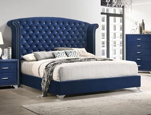 Coaster Melody California King Velvet Wingback Bed, Pacific Blue 223371KW