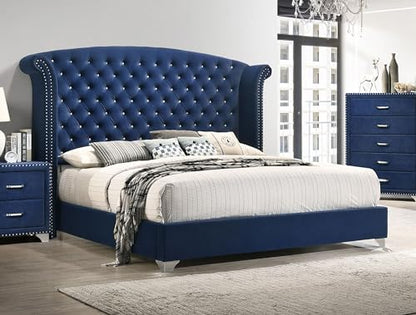 Coaster Melody California King Velvet Wingback Bed, Pacific Blue 223371KW