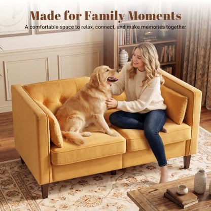 Modern Small Velvet Loveseat Sofa 2 Seater Couch for Living Room, Deep Seat