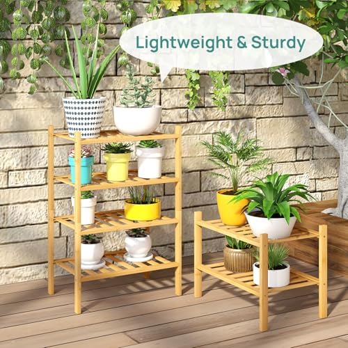 viewcare Small Shoe Rack, 6-Tier Shoe Shelf for Entryway, Bamboo Wood Shoe Rack for Closet & Hallway, Long 17.2IN | Beautiful | Functional | Sturdy | Durable