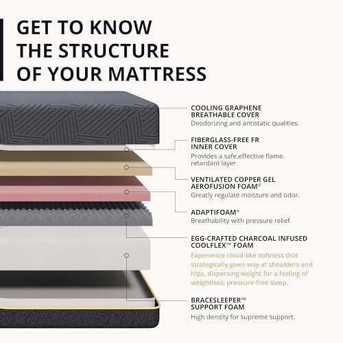 EGOHOME King 14 inch Memory Foam Mattress for Back Pain Relief Medium Plush