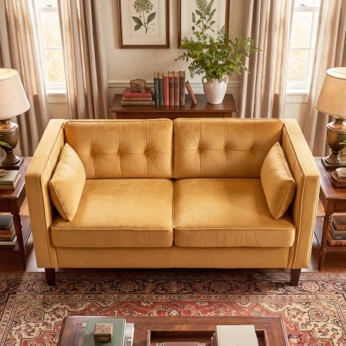 Modern Small Velvet Loveseat Sofa 2 Seater Couch for Living Room, Deep Seat