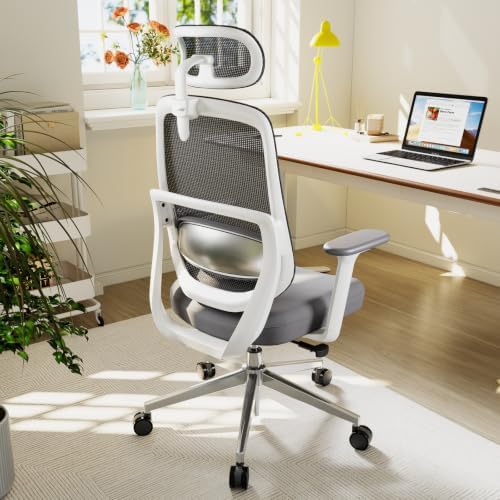 Ergonomic Office Chair Desk Chair with Lumbar Support, White