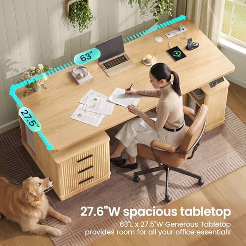 SEDETA 63" Fluted Electric Standing Desk with 3 Drawers, Storage Shelves