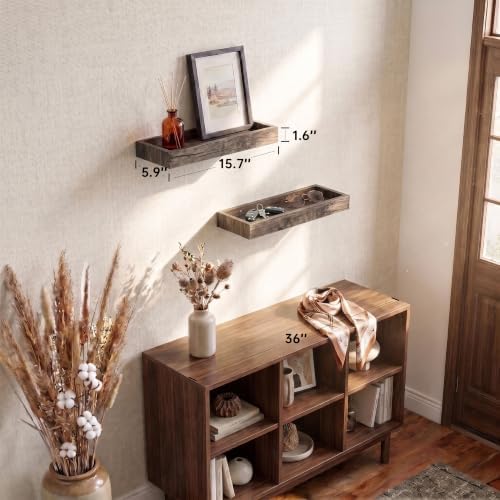 Smoke Gray Floating Shelves with Raised Lip, 15.7 Inch Set of 2