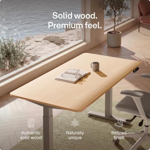 Desktronic HomeOne Standing Desk 60x30 — Ergonomic Sit Stand Home Office Desk, Made in Europe, Electric Dual Motor Height Adjustable, USB & USB-C Charging, Wobble-Free, Touchscreen, 3 Memory Presets