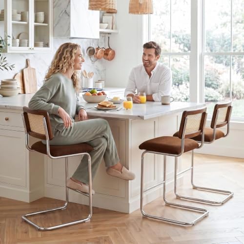Zesthouse Natural Rattan Counter Stools Set of 4, 26" Modern Boho Bar Stool