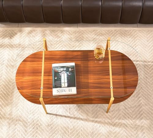 AGV LIGHTING Oval Rectangle Coffee Table 42 Inch 2 Tier, Mid-Century Modern Coffee Table, Clear Glass Top with Walnut MDF Shelf and Glod Metal Legs, Capsule Shape Coffee Table for Living Room