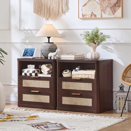 LEYAOYAO Rattan 23" Nightstands Set 2 with Charger Station 2 Drawers