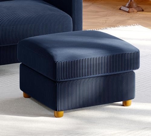 Welzona 25.2" Couches for Living Room Ottoman, Storage Ottoman, Foot Rest