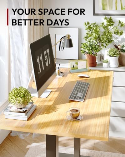 SANODESK Solid Bamboo Dual Motor Standing Desk, 220 lbs, 48×24