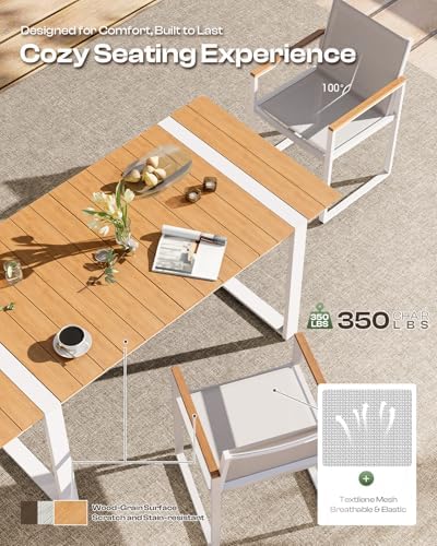 Outdoor Dining Chairs Set of 2, Aluminum Patio Dining Chairs