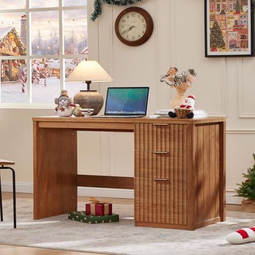 LEYAOYAO Office Desk 48" With 3 Drawers Storage File Cabinet