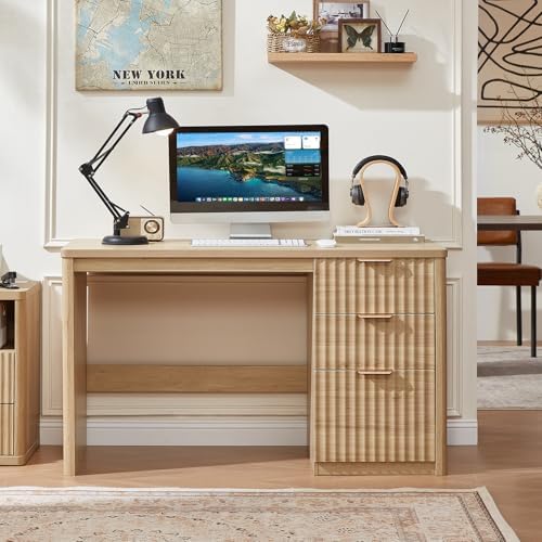 LEYAOYAO Office Desk 48" With 3 Drawers Storage File Cabinet