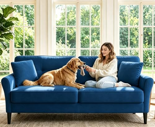 Loveseat Sofa, 69" Love Seat Couches, Velvet Small Couch, Blue Couch