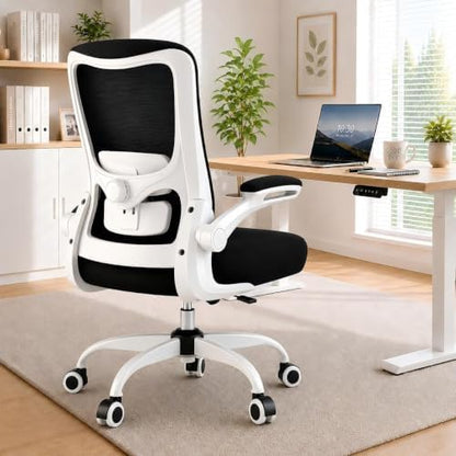 Ergonomic Office Chair for Lower Back Relief, 4-Way Lumbar, 330 LBS