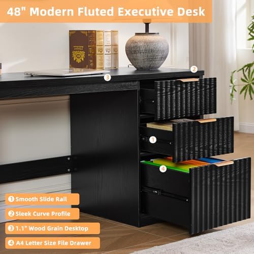 LEYAOYAO Office Desk 48" With 3 Drawers Storage File Cabinet
