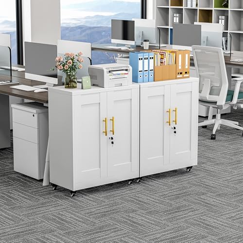 GAIOUS Metal Storage Cabinet with Lock and Wheels, Steel Tool Cabinet