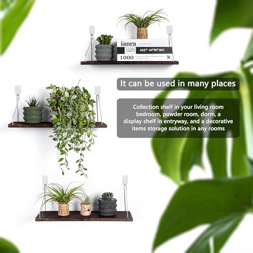 Floating Wall Shelves, Rustic Wood Wall Mounted Shelf Set of 3