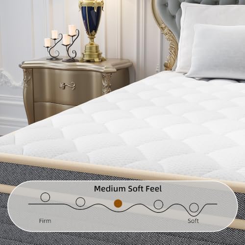 12 Inch Queen Size Mattress in a Box, Independent Pocket Spring, Targeted Support & Zero Motion Transfer, Breathable Skin-Friendly Knit Cover, Compressed for Easy Delivery & Rapid Expansion