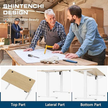 Shintenchi Standing Desk, 55x24 Inch Height Adjustable Electric Sit Stand up Desk, Ergonomic Rising Computer Table, Modern Lift Gaming Desk Workstation for Home Office, White