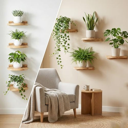 Round Small Floating Shelf,Small Wall Shelves,Mini Speaker Shelf Wood