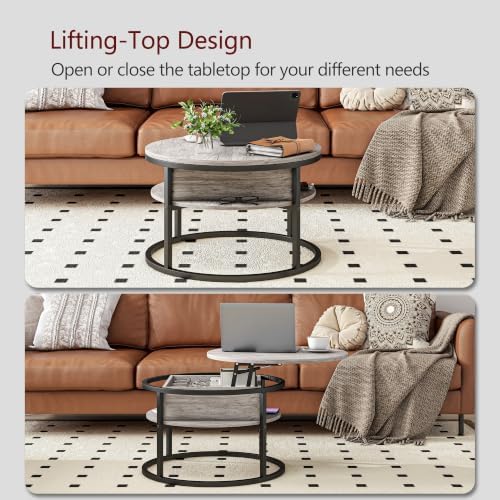 HOJINLINERO Round Coffee Table with Storage,Lift Top Coffee Table for Living Room Reception Room,2 Tier Small Round Table Dining Center,Grey