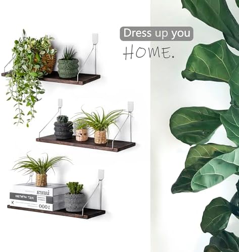Floating Wall Shelves, Rustic Wood Wall Mounted Shelf Set of 3