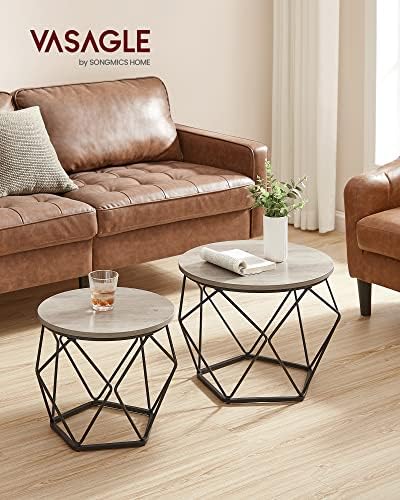 VASAGLE Small Round Coffee Table Set of 2, with Steel Frame