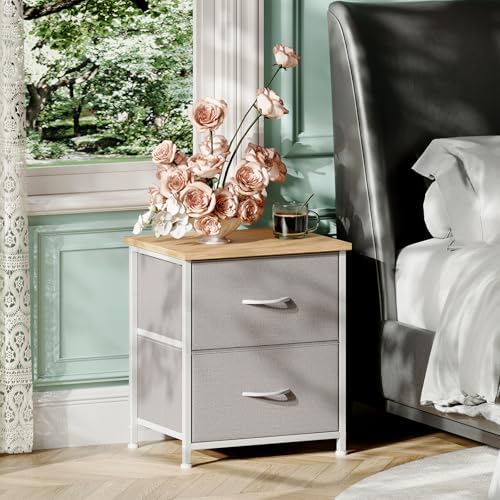 Somdot Night Stand with 2 Drawer, Small Nightstand End Table, Bedside Table