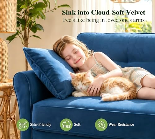 Loveseat Sofa, 69" Love Seat Couches, Velvet Small Couch, Blue Couch