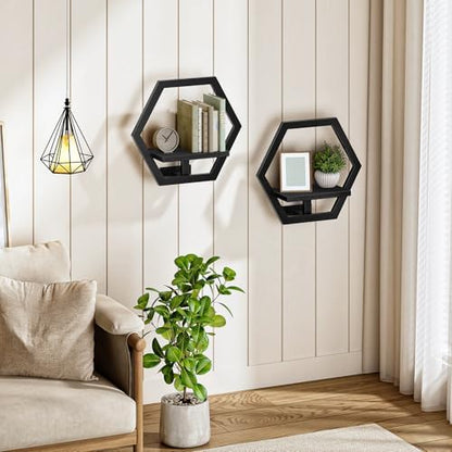 Floating Plant Shelves Set of 2, Wall Plant Holder