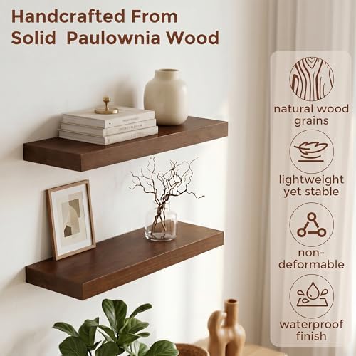 fuqing 20 Inch Floating Shelves 6.7'' Deep Dark Wood Wall Shelves Set of 2