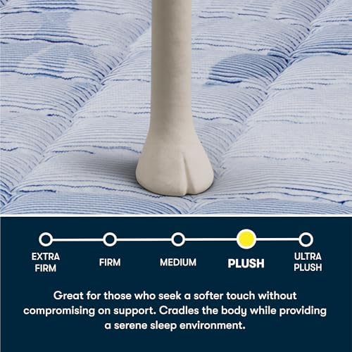 Serta Five Star Mattress Tranquility 14" Plush Queen Mattress, Bed-in-a-Box
