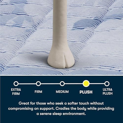 Serta Five Star Mattress Tranquility 14" Plush Queen Mattress, Bed-in-a-Box