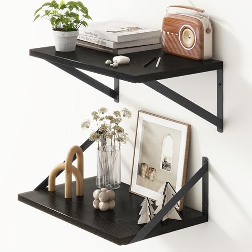 10 Inch Deep Floating Shelves, Black Floating Shelf 16 Inch Long, 16" W x 10" D Wall Shelves Set of 2, Deep Shelves for Books, Wide Floating Shelves for Bahtoom, Living Room, Kitchen