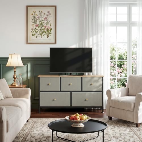 5 Drawer Dresser for Bedroom, Fabric Storage Drawer Unit