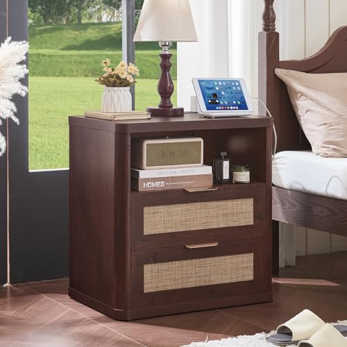LEYAOYAO Rattan 23" Nightstands Set 2 with Charger Station 2 Drawers