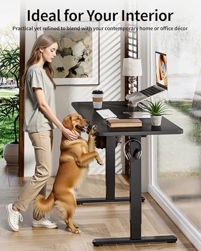 BIZUM Electric Standing Desk 63 x 24 Inch Computer Desk-Gaming Desk Black Home Office Desks Height Adjustable Memory Stand Up Computer Workstation