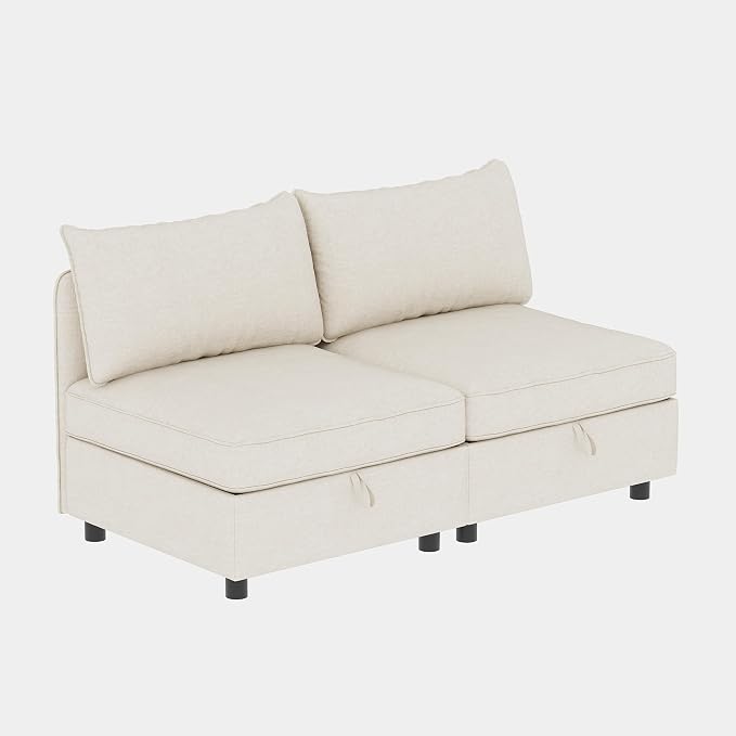 ERYE 68-Inch Loveseat Modular Sofa Deep Seat Storage Sectional Sofa Couch with Free Combination Backrests and Armrests,2 Seat Chenille Upholstered Love Seat Couch for Living Room Bedroom Office | Space Saving