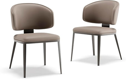 Dining Chairs Modern High Backrest Comfortable, Fashion Upholstered Kitchen Chair Armless Dinner Chair with Metal Legs for All Rooms (Milk Coffee, Set of 2)