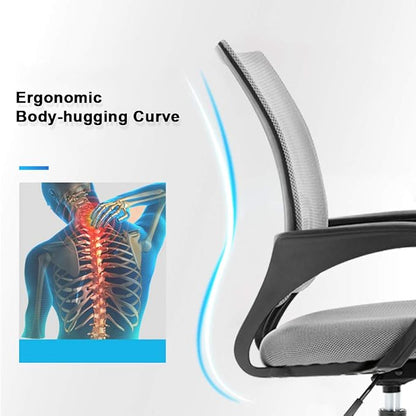 Office Chair Desk Chair Computer Chair Ergonomic Executive Swivel Rolling Task Chair for Back Support,2 Pack