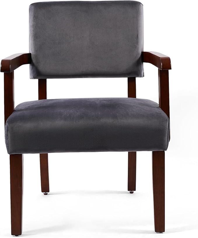 FAGAGA Modern Accent Chair, Upholstered Living Room Chairs with Wood Frame, Oversized Reading Armchair for Bedroom Waiting Room