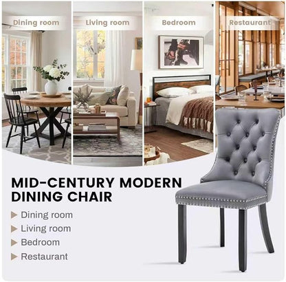 Mid Century Modern Dining Chair Set of 4 Velvet Upholstered Dining Accent Chair Farmhouse Dining Chairs with High Back and Nailhead Trim for Kitchen, Living Room, Bedroom (Gray)
